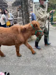 天王寺動物園に投稿された画像（2023/3/26）
