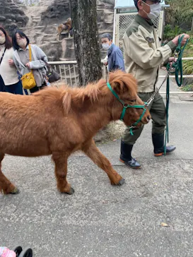 天王寺動物園に投稿された画像（2023/3/26）