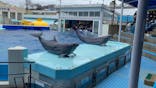 越前松島水族館に投稿された画像（2023/3/26）