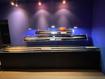 越前松島水族館に投稿された画像（2023/3/26）