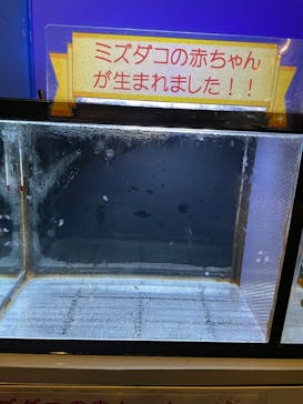 越前松島水族館に投稿された画像（2023/3/26）