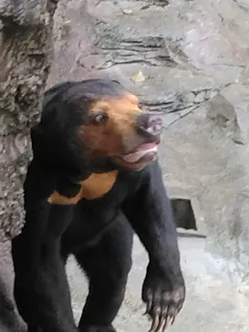 天王寺動物園に投稿された画像（2023/3/26）