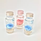 ずこうしつ〜sugamo〜に投稿された画像（2023/3/26）