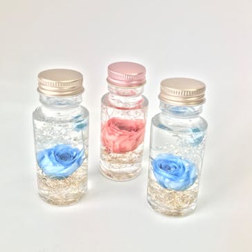 ずこうしつ〜sugamo〜に投稿された画像（2023/3/26）