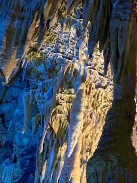 あぶくま洞に投稿された画像（2023/3/26）