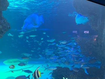 サンシャイン水族館に投稿された画像（2023/3/26）