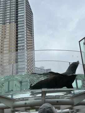 サンシャイン水族館に投稿された画像（2023/3/26）