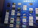 新江ノ島水族館に投稿された画像（2023/3/26）