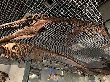 国立科学博物館に投稿された画像（2023/3/26）