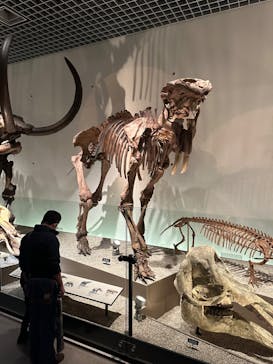 国立科学博物館に投稿された画像（2023/3/26）