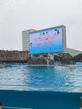 名古屋港水族館に投稿された画像（2023/3/26）