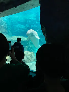 名古屋港水族館に投稿された画像（2023/3/26）