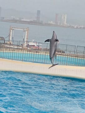 マリンワールド海の中道に投稿された画像（2023/3/26）