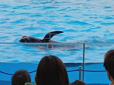 マリンワールド海の中道に投稿された画像（2023/3/26）