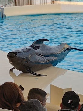 マリンワールド海の中道に投稿された画像（2023/3/26）