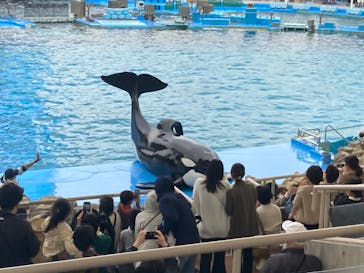 名古屋港水族館に投稿された画像（2023/3/26）