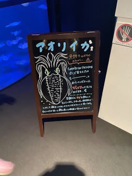 上越市立水族博物館 うみがたりに投稿された画像（2023/3/26）