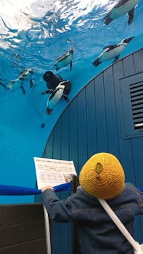 サンシャイン水族館に投稿された画像（2023/3/26）
