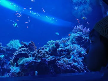 サンシャイン水族館に投稿された画像（2023/3/26）