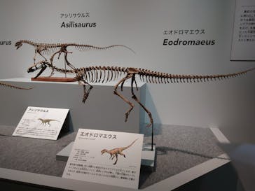 特別展「恐竜博2023」に投稿された画像（2023/3/26）