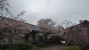 博物館 明治村に投稿された画像（2023/3/26）
