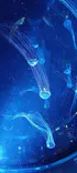名古屋港水族館に投稿された画像（2023/3/26）