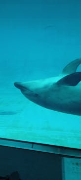 名古屋港水族館に投稿された画像（2023/3/26）