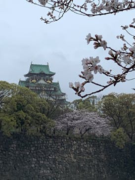 大阪城天守閣に投稿された画像（2023/3/26）