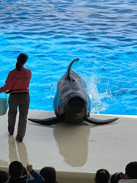 マリンワールド海の中道に投稿された画像（2023/3/26）