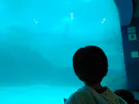 名古屋港水族館に投稿された画像（2023/3/26）