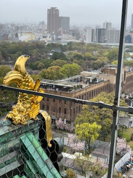 大阪城天守閣に投稿された画像（2023/3/26）