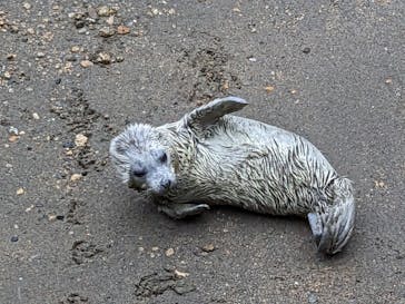 伊豆・三津シーパラダイスに投稿された画像（2023/3/26）