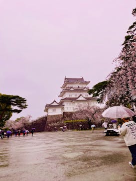 小田原城に投稿された画像（2023/3/26）