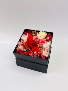 ずこうしつ〜sugamo〜に投稿された画像（2023/3/26）