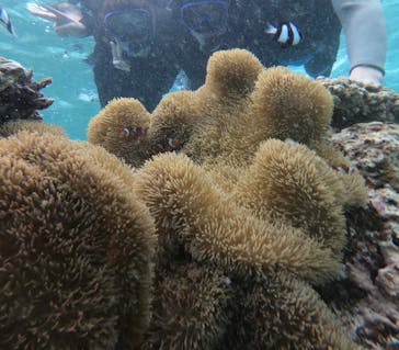 宮古島 ADVENTURE PiPi（ミヤコジマ アドベンチャー ピピ）に投稿された画像（2023/3/26）