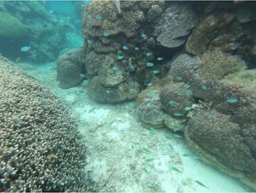 宮古島 ADVENTURE PiPi（ミヤコジマ アドベンチャー ピピ）に投稿された画像（2023/3/26）