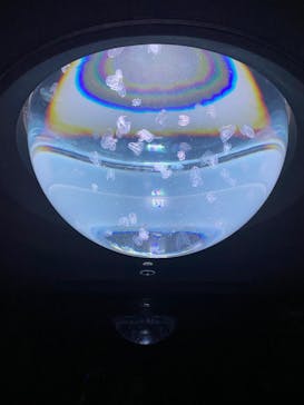 サンシャイン水族館に投稿された画像（2023/3/26）