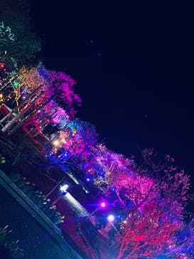 せんだい農業園芸センター　みどりの杜に投稿された画像（2023/3/26）