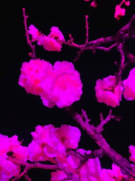 せんだい農業園芸センター　みどりの杜に投稿された画像（2023/3/26）