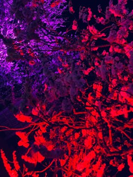 せんだい農業園芸センター　みどりの杜に投稿された画像（2023/3/26）