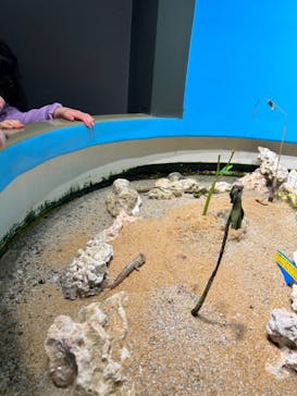 サンシャイン水族館に投稿された画像（2023/3/26）