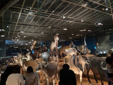 国立科学博物館に投稿された画像（2023/3/26）