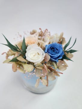 ずこうしつ〜sugamo〜に投稿された画像（2023/3/26）