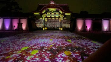 『NAKED FLOWERS 2023 桜 世界遺産・二条城』に投稿された画像（2023/3/26）