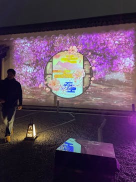 『NAKED FLOWERS 2023 桜 世界遺産・二条城』に投稿された画像（2023/3/26）