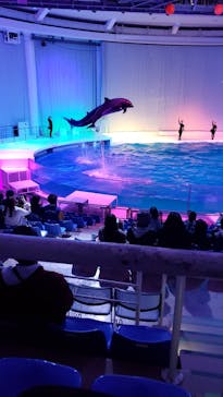 アクアワールド茨城県大洗水族館に投稿された画像（2023/3/26）