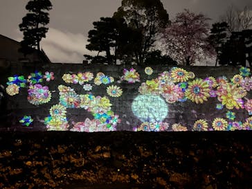 『NAKED FLOWERS 2023 桜 世界遺産・二条城』に投稿された画像（2023/3/26）