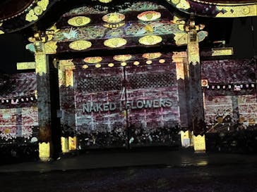 『NAKED FLOWERS 2023 桜 世界遺産・二条城』に投稿された画像（2023/3/26）