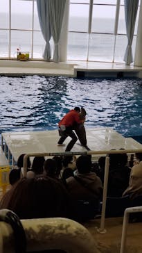 アクアワールド茨城県大洗水族館に投稿された画像（2023/3/26）