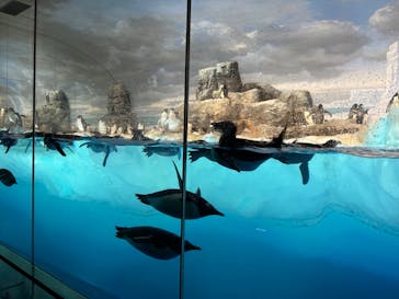 名古屋港水族館に投稿された画像（2023/3/26）